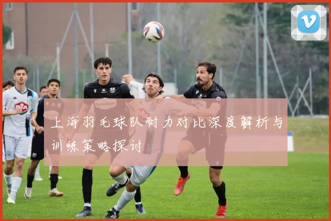 上海羽毛球队耐力对比深度解析与训练策略探讨