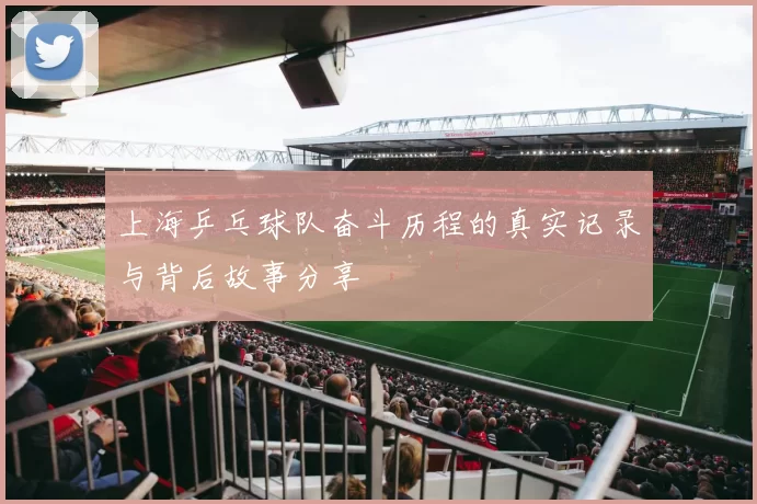 上海乒乓球队奋斗历程的真实记录与背后故事分享