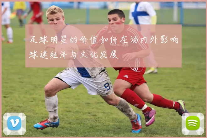 足球明星的价值如何在场内外影响球迷经济与文化发展