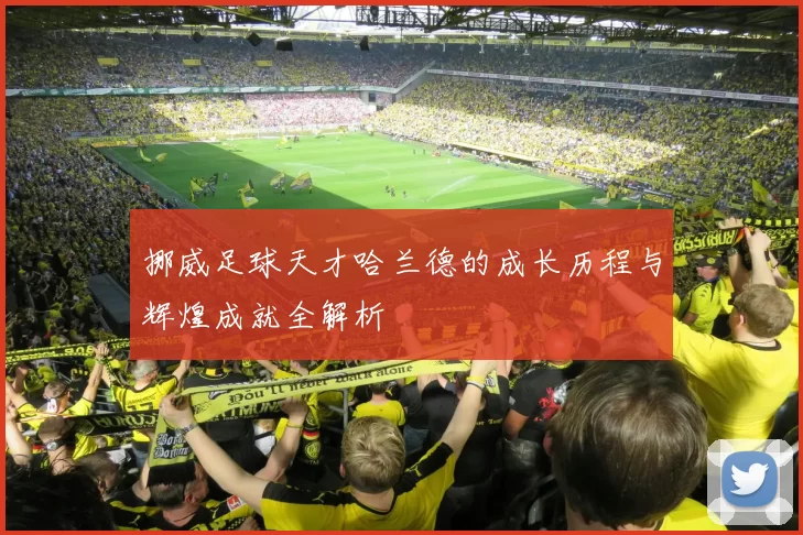 挪威足球天才哈兰德的成长历程与辉煌成就全解析