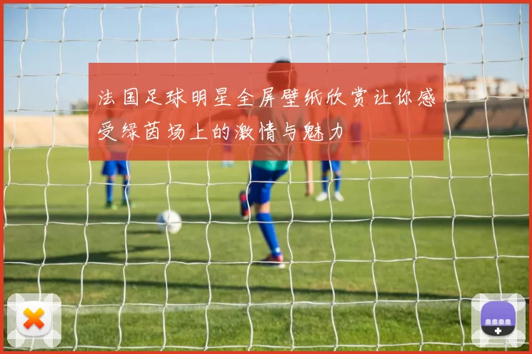 法国足球明星全屏壁纸欣赏让你感受绿茵场上的激情与魅力