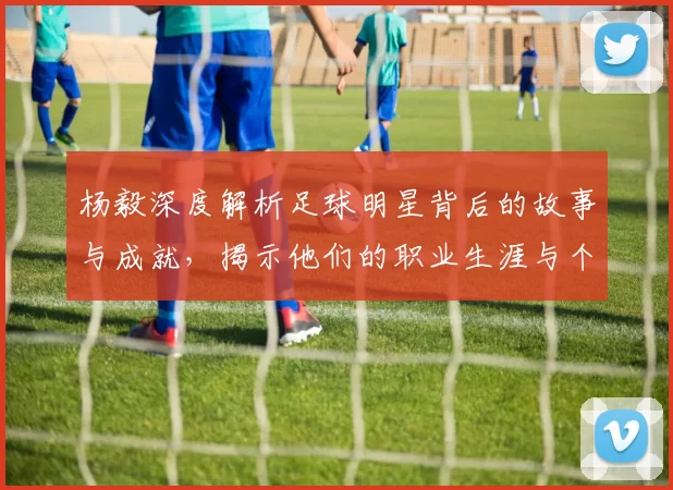 杨毅深度解析足球明星背后的故事与成就，揭示他们的职业生涯与个人魅力