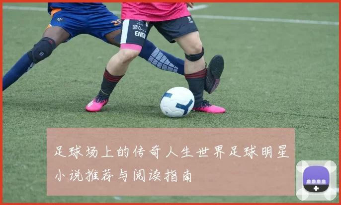 足球场上的传奇人生世界足球明星小说推荐与阅读指南