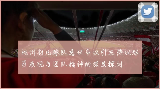 杭州羽毛球队意识争议引发热议球员表现与团队精神的深度探讨