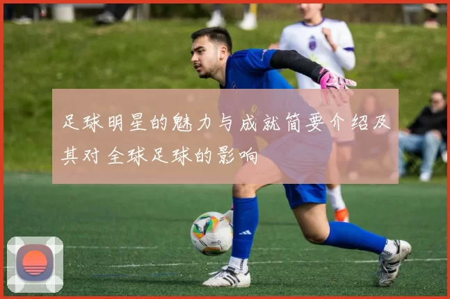 足球明星的魅力与成就简要介绍及其对全球足球的影响