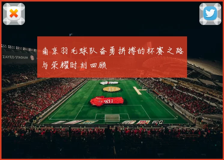 南京羽毛球队奋勇拼搏的杯赛之路与荣耀时刻回顾