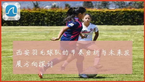 西安羽毛球队的节奏分析与未来发展方向探讨