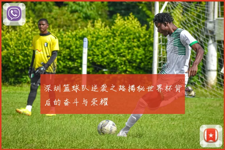 深圳篮球队逆袭之路揭秘世界杯背后的奋斗与荣耀