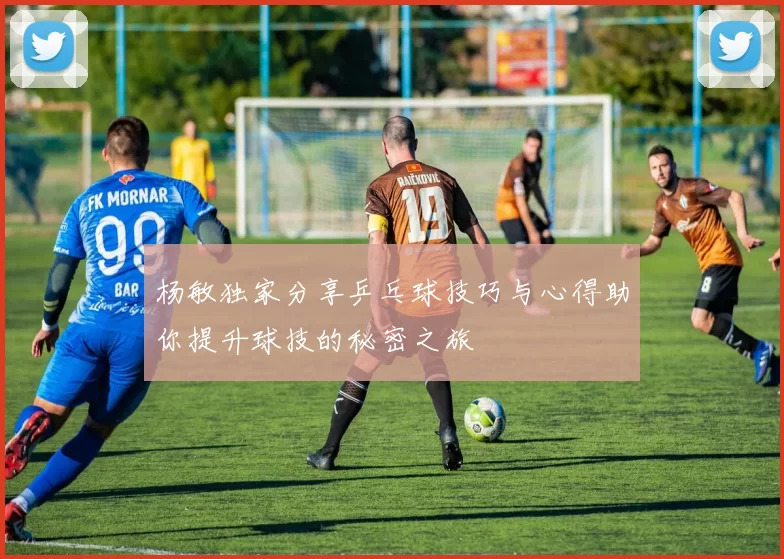 杨敏独家分享乒乓球技巧与心得助你提升球技的秘密之旅