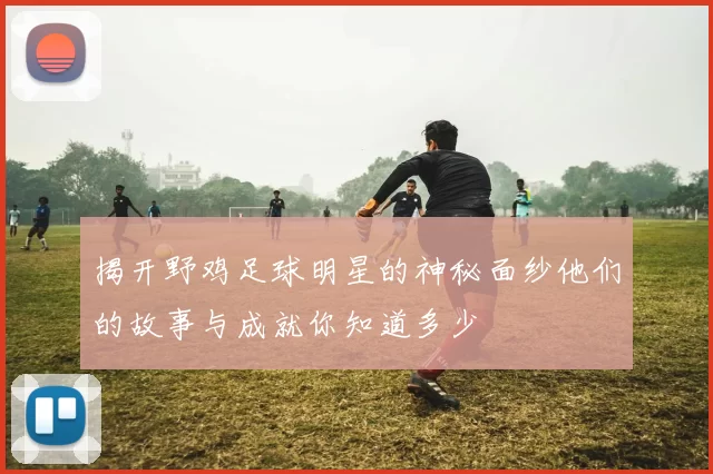 揭开野鸡足球明星的神秘面纱他们的故事与成就你知道多少