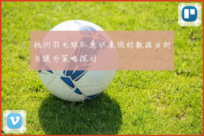 杭州羽毛球队意识表现的数据分析与提升策略探讨