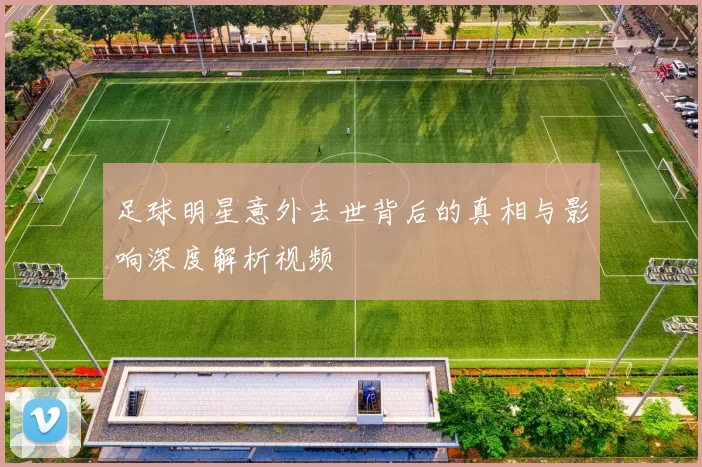 足球明星意外去世背后的真相与影响深度解析视频