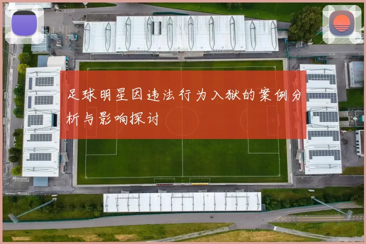 足球明星因违法行为入狱的案例分析与影响探讨