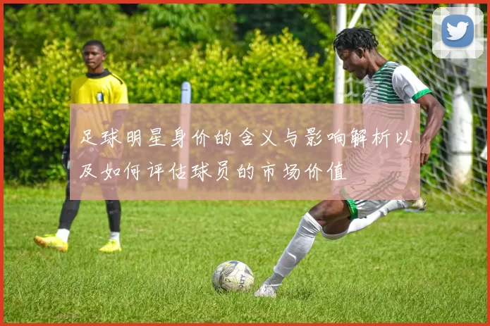 足球明星身价的含义与影响解析以及如何评估球员的市场价值